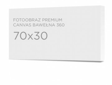 Fotoobraz premium 70x30 cm