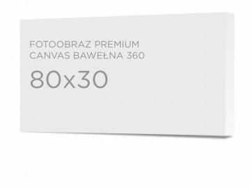 Fotoobraz premium 80x30 cm